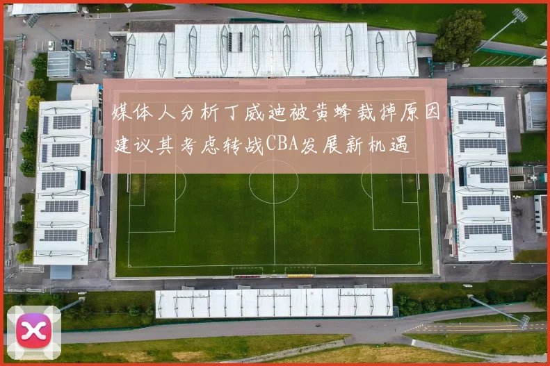 媒体人分析丁威迪被黄蜂裁掉原因建议其考虑转战CBA发展新机遇