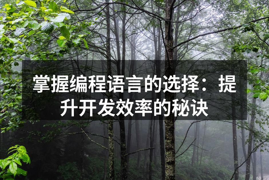 编程语言选择的重要性